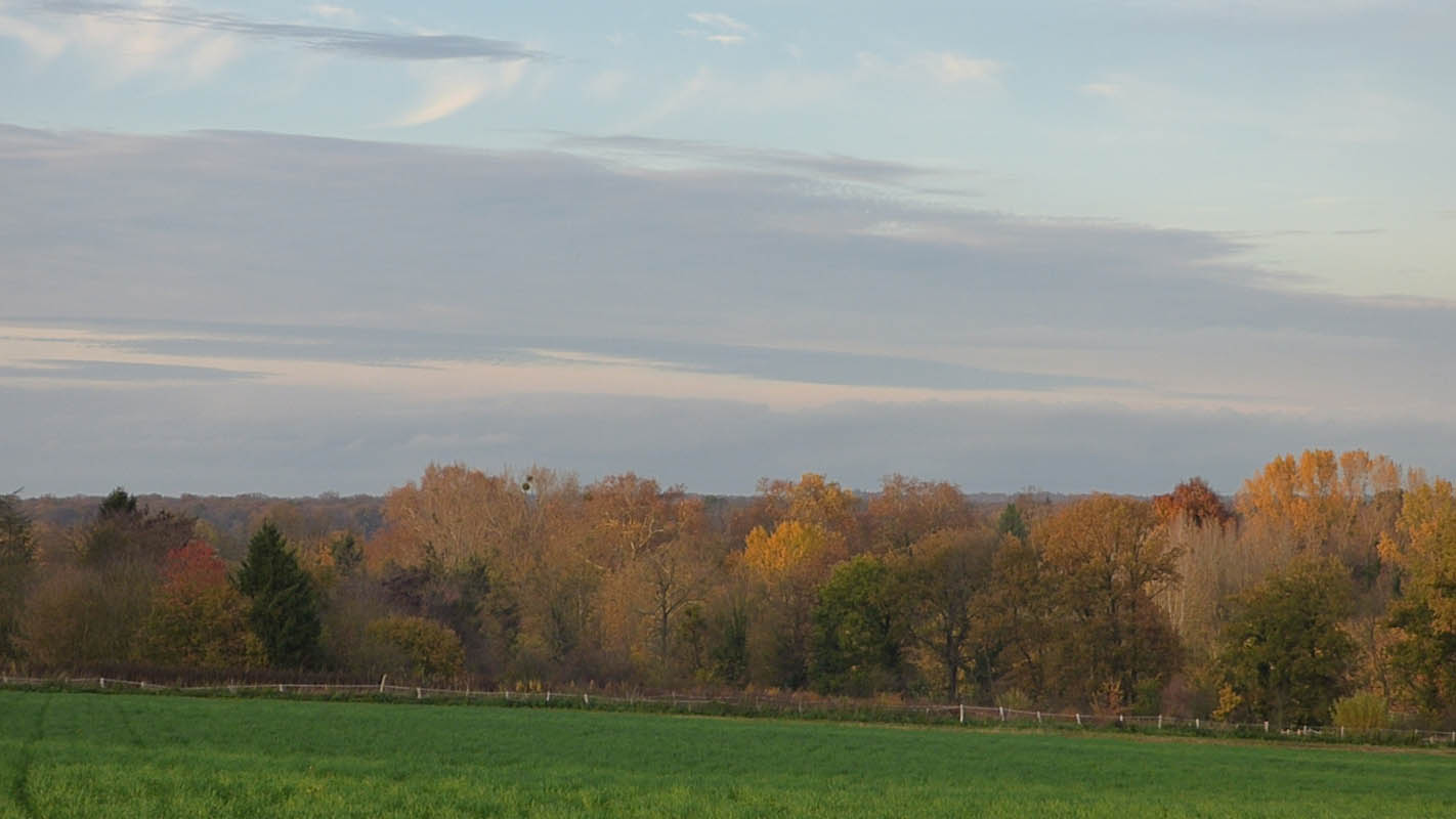 Vallée de l'Ysieux (novembre 2015)